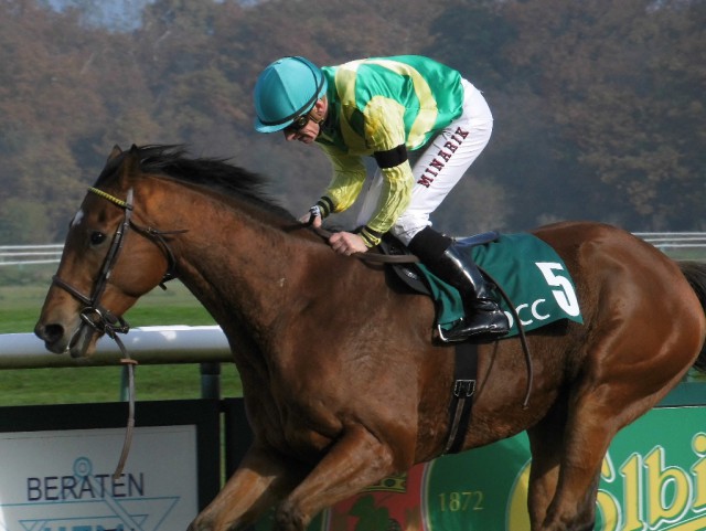 Filip Minariks Meisterstück auf Goldbraid mit gerissenem Zügel beim Aufgalopp zum 3. Rennen. © NNN