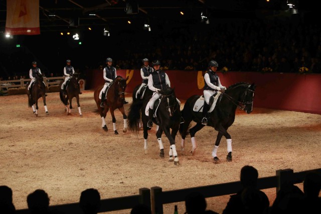 Gala-Abend 2014 © Olav Krenz