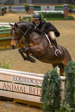Darcy Hayes and Say When won the $25,000 Knightwood Hunter Derby at Toronto’s iconic Royal Horse Show. © Ben Radvanyi Photography www.benradvanyi.com