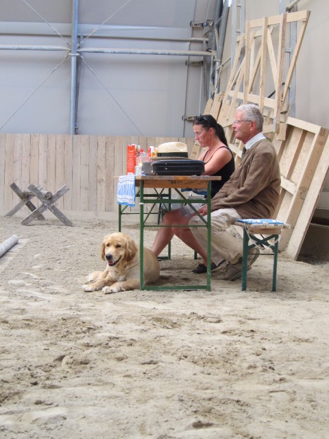 Therapiehund Marley hatte während den Prüfungen alles im Blick. © Privat