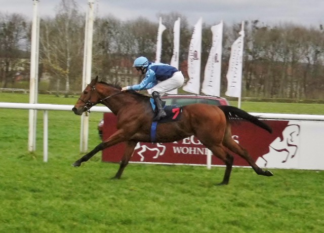 It's Tiger unter Martin Seidl gewinnt das 1. Rennen. © Nadja N. Naumann