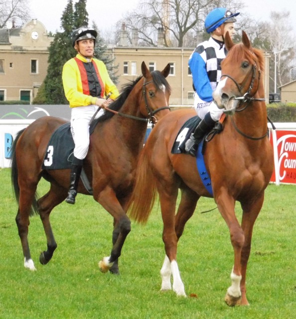 Vorn Lichtblitz unter Vinzenz Schiergen und dahinter der spätere Sieger Global Gentl unter Alexander Pietsch. © Nadja N. Naumann