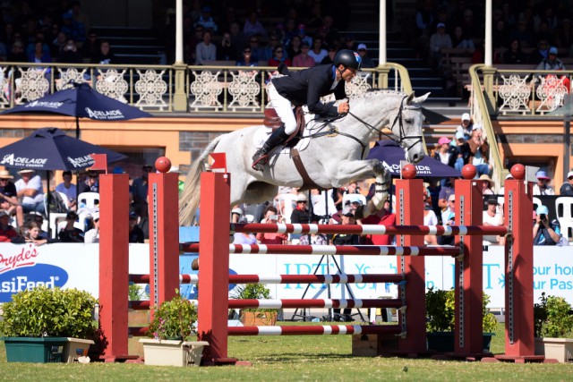 Shane Rose (AUS) created history today by taking first and second places at the Adelaide International 3 Day Event, second leg of the FEI Classics™ 2015/2016, with CP Quaified (pictured) and Virgil. © FEI/Julie Wilson