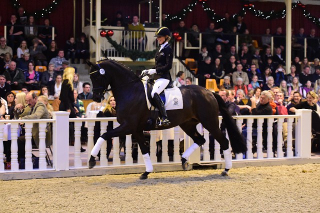 Isabel Freese & Fasine von Fürst Romancier x Sir Donnerhall I. © Mark gr. Feldhaus