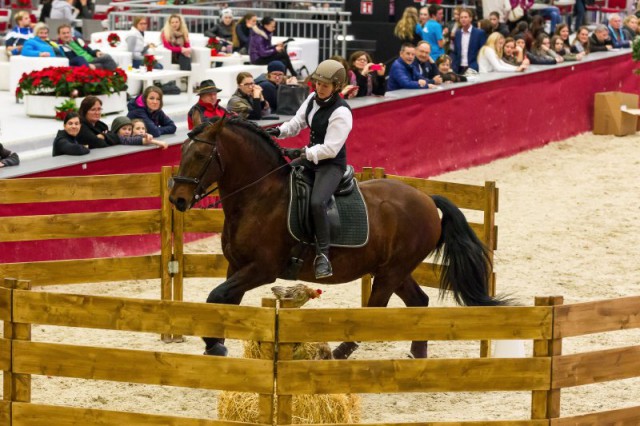 OhnesorgBirgit_Vies_90_WorkingEquitationSpeedTrail_Do_MG_4