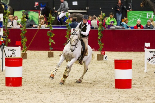 SchaedleDana_Violino_90_WorkingEquitationSpeedTrail_Do_MG_1