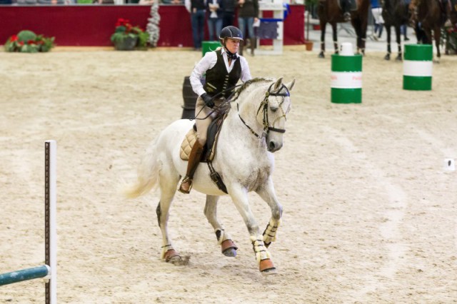 SchaedleDana_Violino_90_WorkingEquitationSpeedTrail_Do_MG_2