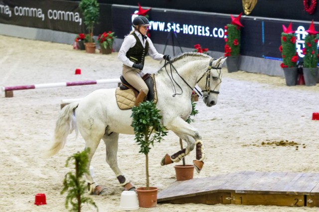 SchaedleDana_Violino_90_WorkingEquitationSpeedTrail_Do_MG_3