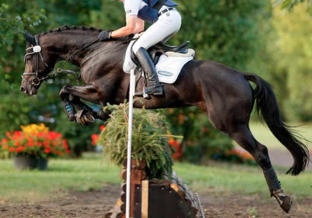 Die Initiative Vielseitigkeit des Trakehner Verbandes erhielt eine tolle Resonanz. © Lafrentz