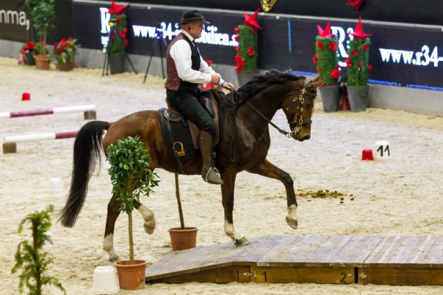 TuermerThomas_Orlando_90_WorkingEquitationSpeedTrail_Do_MG_2