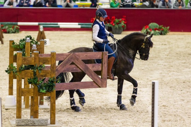 WittmannMiriam_Kiro_90_WorkingEquitationSpeedTrail_Do_MG_2