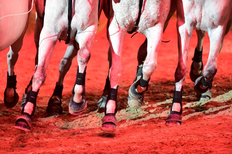 Die schönsten Bilder der Mevisto Amadeus Horse Indoors 2015