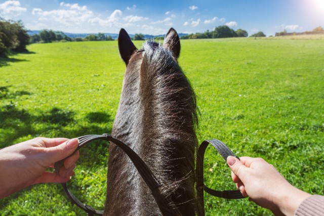 © shutterstock | A. Basler