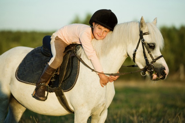 © shutterstock | Puhach Andrei