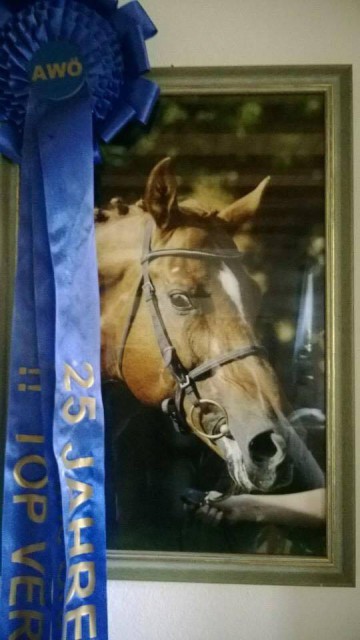 Abrek verbuchte mit Barbara Beinwachs (NÖ) zahlreiche Erfolge. © Barbara Beinwachs