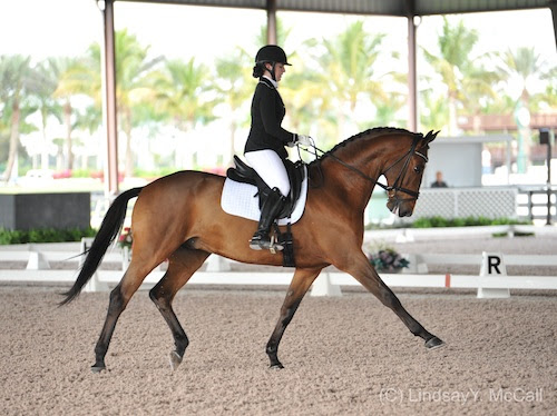 Annie Peavy competing at the CPEDI 3* at AGDF in 2015. © Lindsay Y. McCall