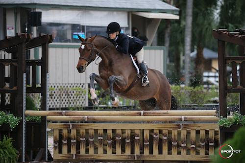 Danielle Baran and Vizcaya are Victorious in the
Triple Crown Blankets Adult Amateur Hunter 36-49. © sportfot.com