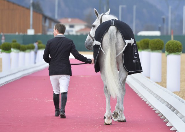 Together GLOCK rider Gerco Schröder and the GLOCK horses manage any path. © GHPC / studiohorst 