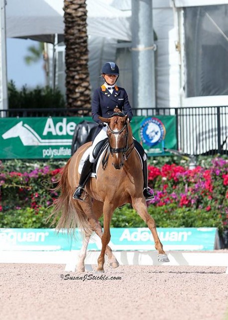 Leida Collins-Strijk and Don Tignanello © SusanJStickle.com