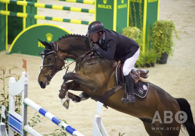 Twelve-year-old stallion GLOCK’s Zaranza is in best shape at indoor show-jumping tests and has already achieved numerous top placings. © Arnd Bronkhorst