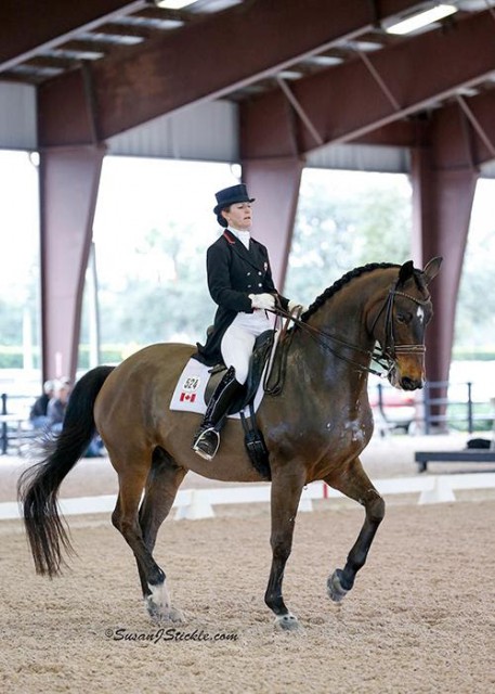 Belinda Trussell and Anton top the AGDF3 FEI Grand Prix presented by Yeguada de Ymas. © SusanJStickle.com
