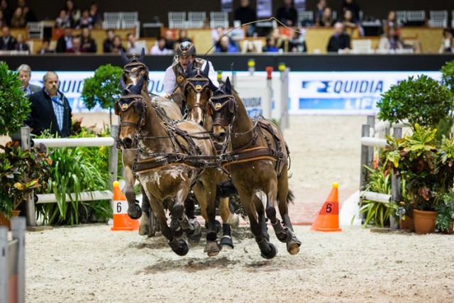 Koos de Ronde (NED) drove the only clear round of the evening and took the lead in the FEI World Cup™ Driving Final in Bordeaux. © FEI/Eric Knoll