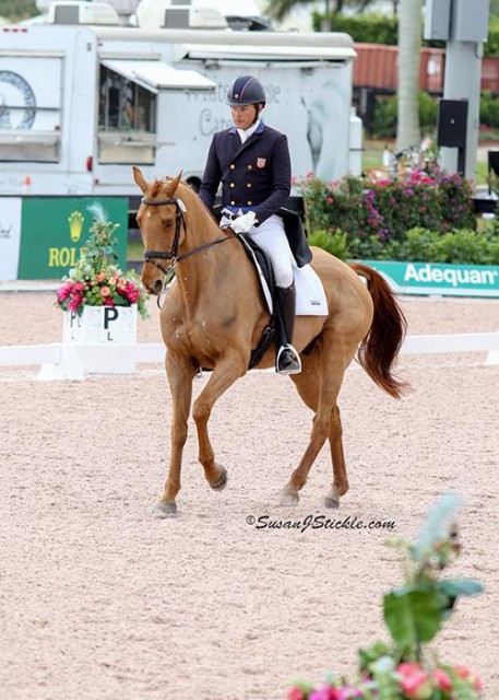 Boyd Martin and Blackfoot Mystery © Susan J. Stickle