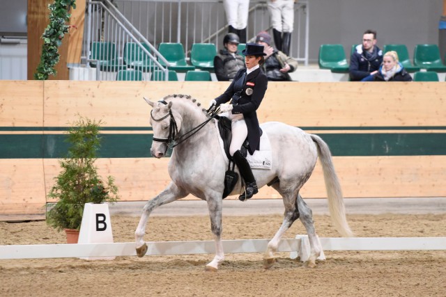 73,202% erhielten der bildhübsche 8-jährige Hannoveraner Auheim´s del Magico und Stephanie Dearing (K) im St. Georg. © horsesportsphoto.eu