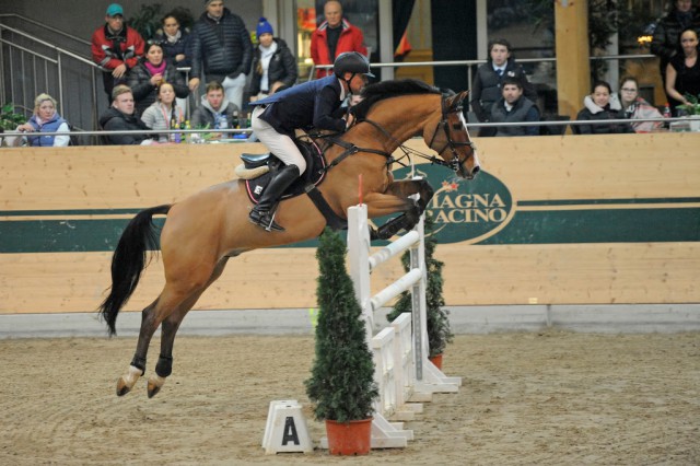 Sascha Kainz (NÖ), der mit seinen Pferden im Magna Racino trainiert, wird natürlich versuchen, seinen Heimvorteil zu nutzen. © www.horsesportsphoto.eu