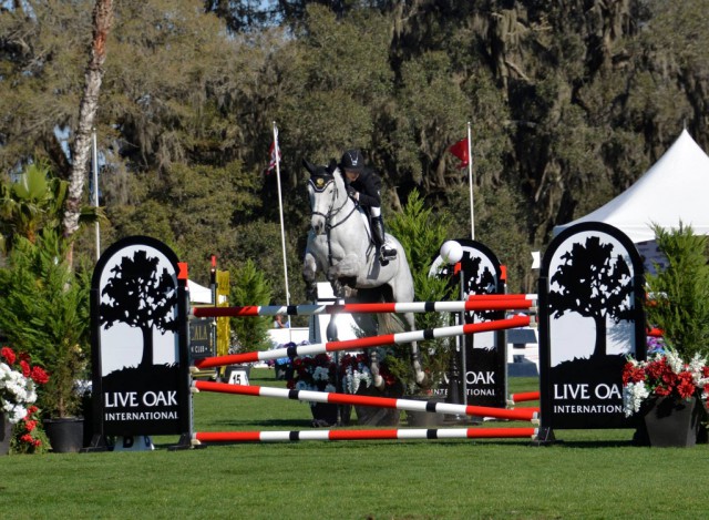 Die sprunggewaltige Corona 93 zeigte im Stechparcours was in ihr steckt. © Live Oak International Facebook