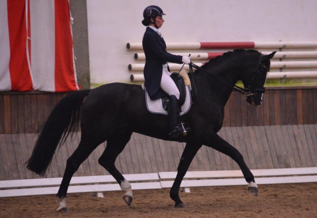 Ursula Mayer Rabl und Deko waren im Sonnenhof Winter-Cup der Klasse S siegreich. © privat