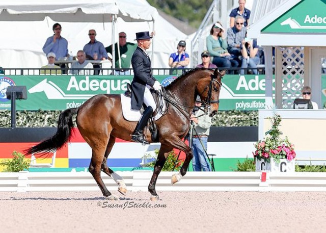 Steffen Peters and Rosamunde. © Susan J. Stickle