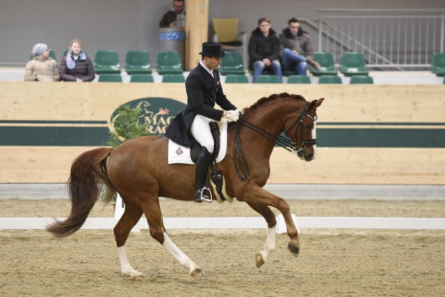 Für den Kärntner Christian Schumach und Auheim`s Rhaposario lief es heute hervorragend. © horsesportsphoto.eu