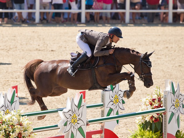 Pius Schwizer – a pro not only in the show ring but also in front of the microphone. © Michael Rzepa