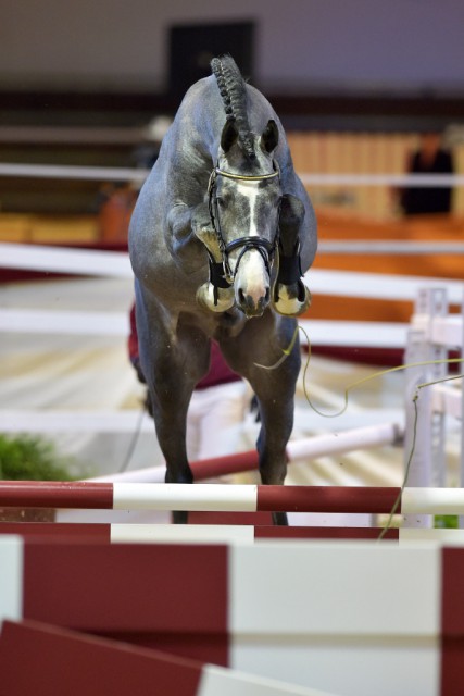 Nur Fliegen ist schöner. © www.fotoagentur-dill.de