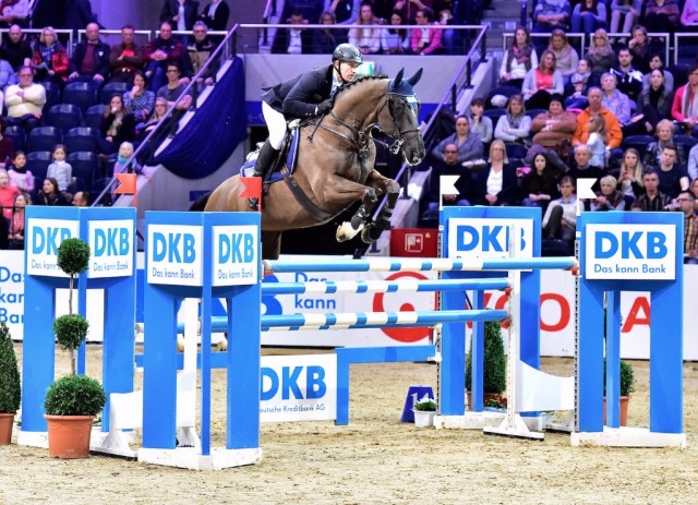 Holger Wulschner siegt im Preis der Deutschen Kreditbank AG mit BSC Skipper. © Fotodesign-Feldhaus
