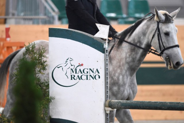 Bevor das Magna Racino im April in die Freiluftsaison startet, heißt es noch einmal in der Halle " Parcours frei!". © horsesportsphoto.eu