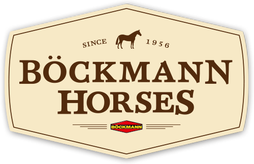 BoeckmannPferde