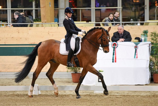 Franziska Fries und Alassios Boy siegten in der Intermediaire I. © www.horsesportsphoto.eu