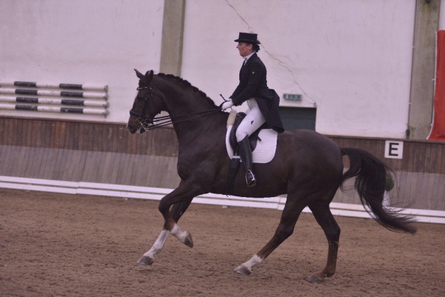 Marion Gottschalk (NÖ) siegte mit Dr. No 4 in der Klasse S. © Istvan Lehoczky