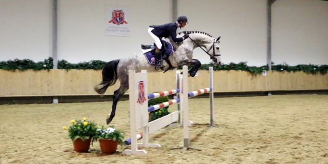 Eine hochwertige Kollektion wartet am 5. März 2016 bei der dritten International Talent Sales. © International Talent Sales | I.T.S.