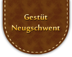 Logo_Neugschwent