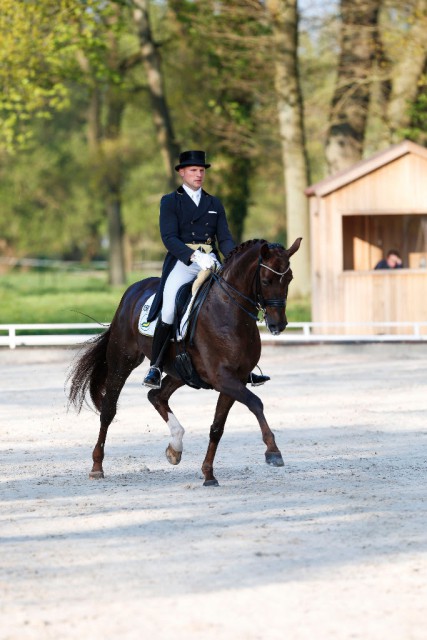 Matthias Bouten und Fräulein Auguste gewannen die Qualifikaton zum Nürnberger Burg-Pokal in Redefin 2015. © Thomas Hellmann