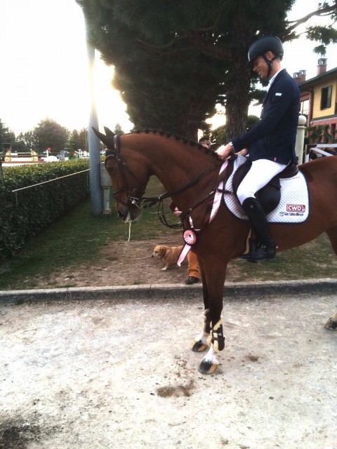 Mit Electric Touch entschied Max den CSI2* Grand Prix von Gorla Minore ganz souverän für sich. © MK Sporthorses