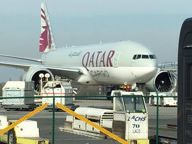 Rodrigo und Denigo flogen beide mit Qatar Airlines © Gestüt Pramwaldhof