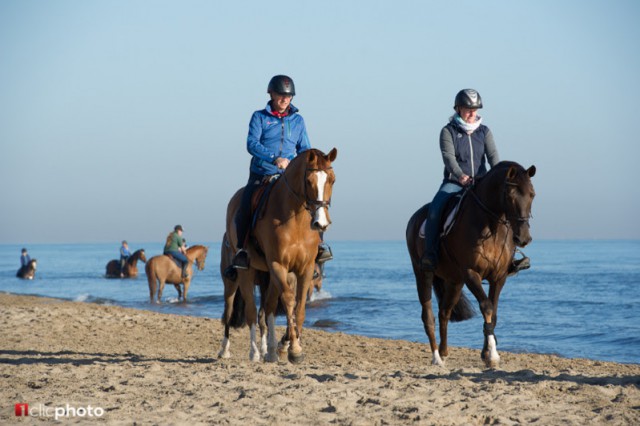 Otto Becker genießt den Strand. © Hervé Bonnaud