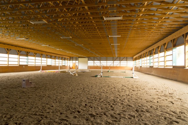 Um optimale Trainingsbedingungen zu schaffen und damit auch die Staubbelastung der Pferde beim Training zu reduzieren, sollte der Reitboden gerade im Sommer regelmäßig bewässert werden. © Shutterstock/ Christopher Gardiner