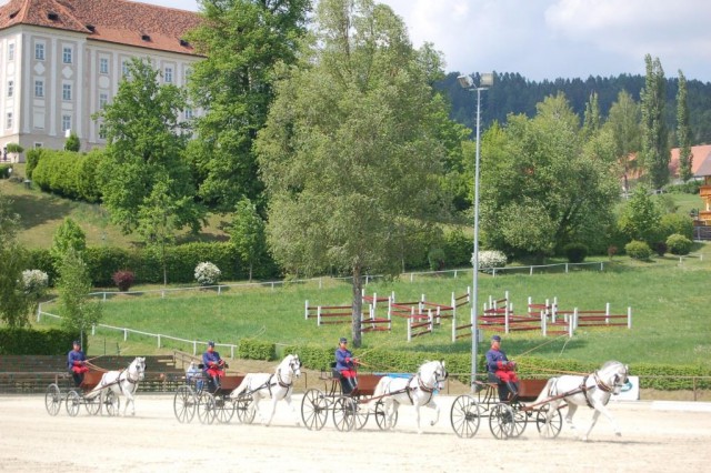 Weltmeisterschaft der 1-Spänner-Kutschen. © Lipizzanergestüt Piber