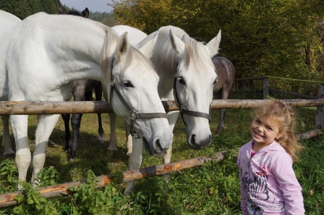 Kindergeburtstagsfeier der besonderen Art. © Lipizzanergestüt Piber