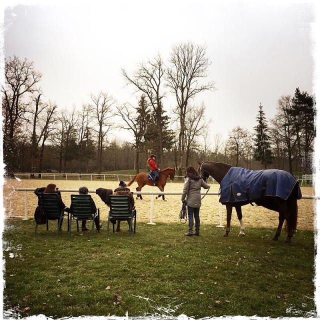 Sowohl Pferd, als auch Mensch beobachten das freie Training am Freitag genau. © Michael Rzepa